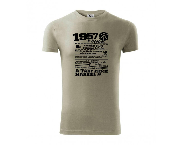 1957 v kostce - Replay FIT pánské triko