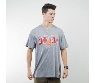 Mitchell & Ness t - shirt Cleveland Cavaliers grey TEAM ARCH TRADITIONAL