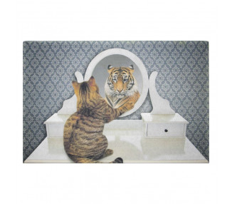Originální rohožka před dveře s motivem kočky se zrcadlem - 75*50*1cm