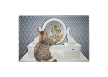 Originální rohožka před dveře s motivem kočky se zrcadlem - 75*50*1cm