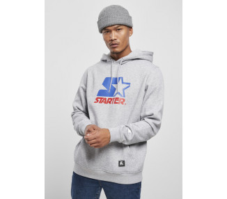 Starter Two Color Logo Hoody h.grey