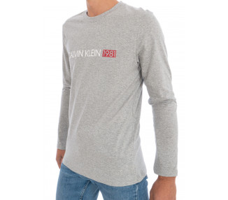 Pánské tričko Calvin Klein NM1705 L Šedá