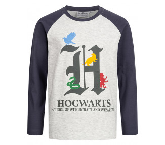 Dětské tričko s dlouhým rukávem Harry Potter
