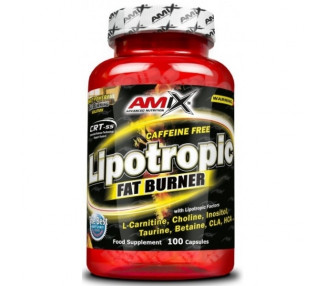 Amix Lipotropic Fat Burner 100 kapslí