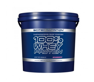 Scitec 100% Whey Protein 5000 g