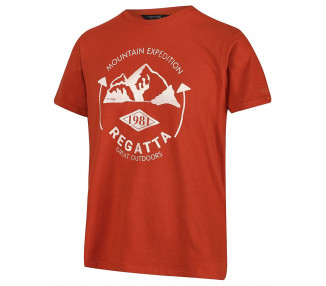 Pánské tričko Regatta
