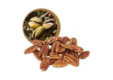 Lifefood Pekanové ořechy RAW BIO 1000 g